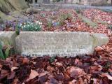image of grave number 908198